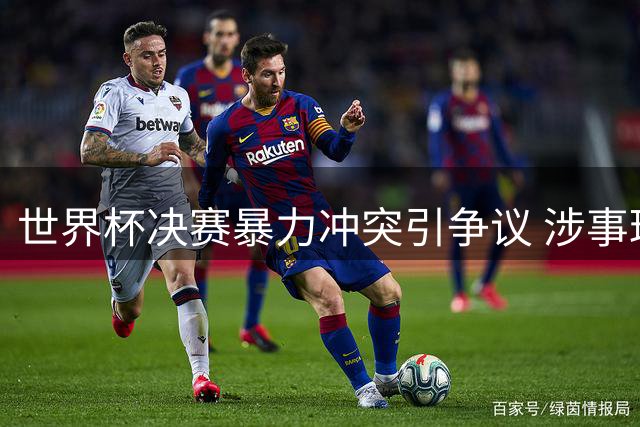 世界杯决赛暴力冲突引争议 涉事球员或面临FIFA调查