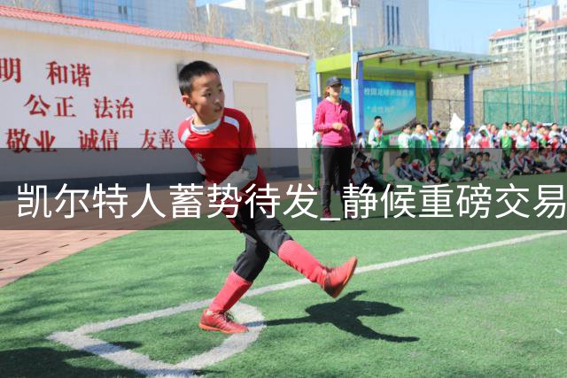 凯尔特人蓄势待发 静候重磅交易良机