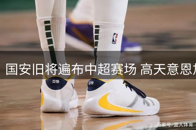 国安旧将遍布中超赛场 高天意恩加德乌成少数亮点