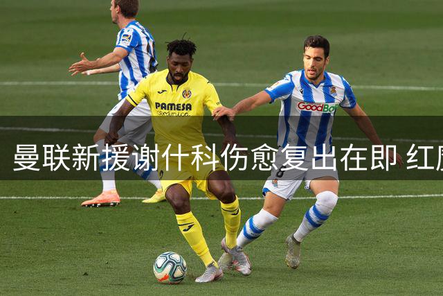 曼联新援谢什科伤愈复出在即 红魔锋线引援锁定轮换目标