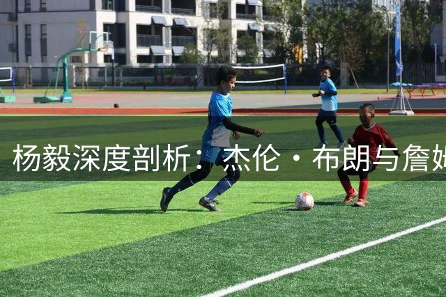 杨毅深度剖析：杰伦·布朗与詹姆斯难以兼容的深层次原因