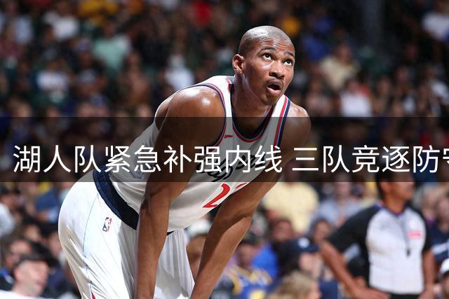 湖人队紧急补强内线 三队竞逐防守悍将尼克·理查兹